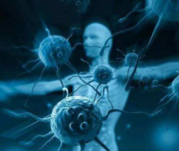 无论你看到或者是看不到,人体内每天不断新陈代谢的细胞在停止分裂前