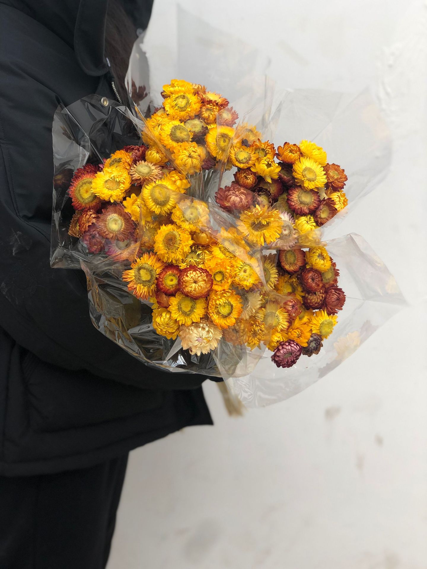 【麦秆菊】干花麦干菊干花菠萝菊小雏菊小菊花干花七彩菊太阳花