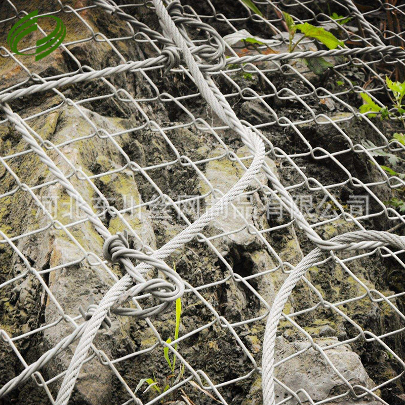 植被绿化护坡铁丝网喷植挂网固土绿化植草铁丝网喷浆网