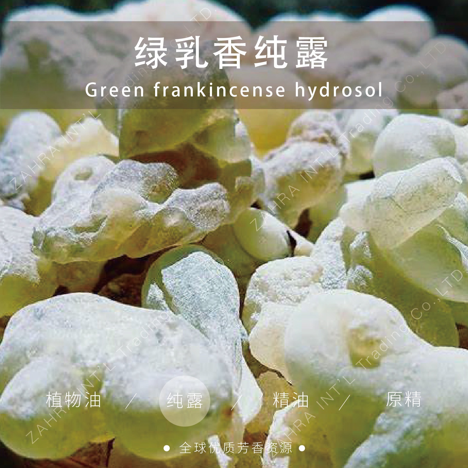 阿曼|进口品质乳香纯露