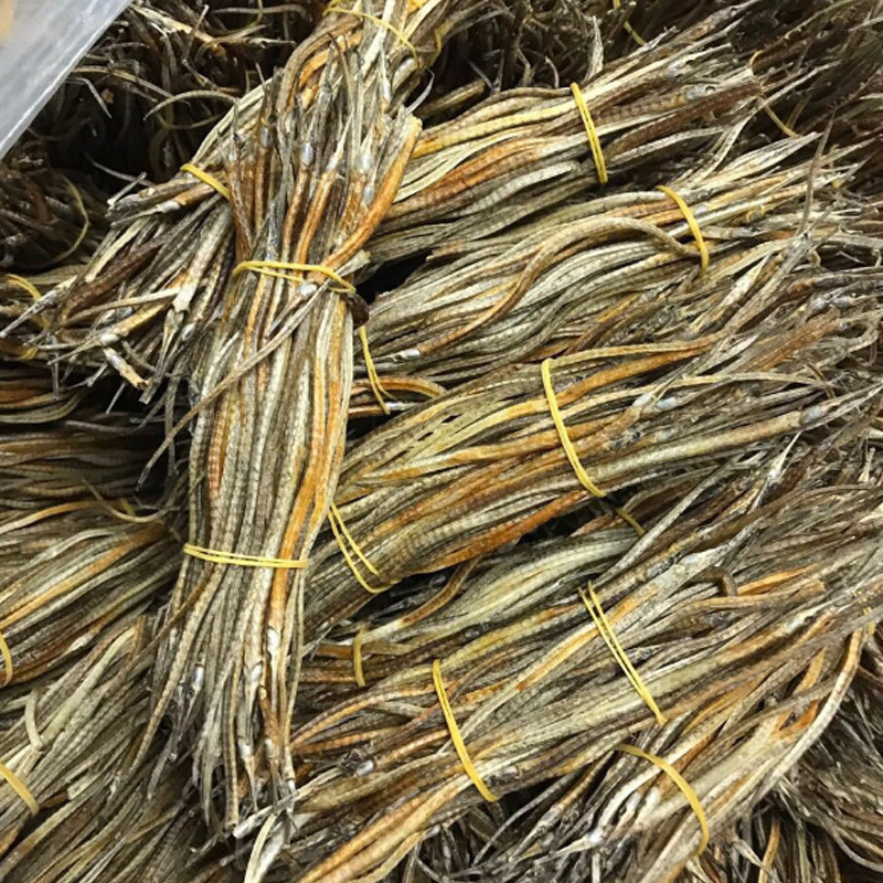 批发大货海龙海龙干货泡酒中药材足干大货海龙干量大从优