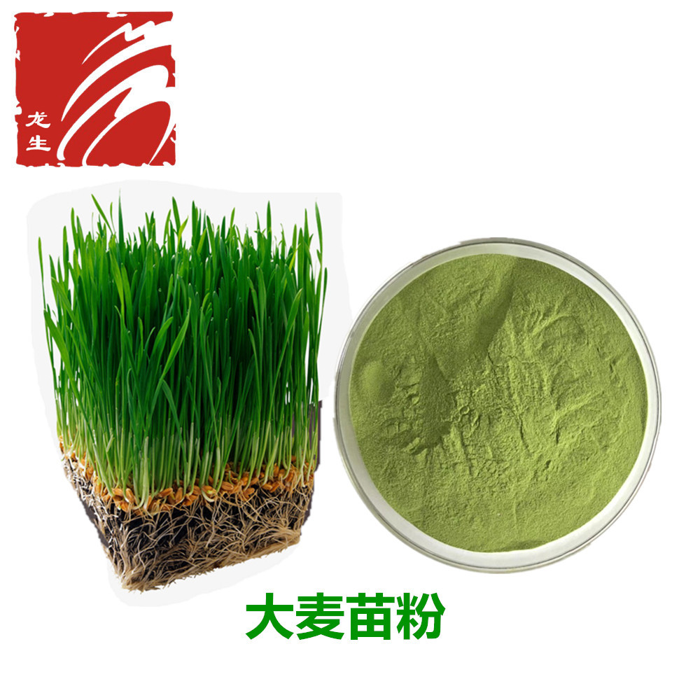 大麦苗粉 大麦苗清汁粉源头厂家 现货包邮 量大优惠 1kg起售