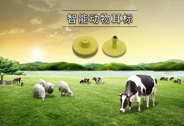rfid超高频动物耳标 牛羊管理统计电子耳标 超声波合成uhf耳标