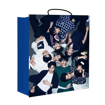 nine percent百分之九纸袋 礼品袋 购物袋 手提袋 明星手提袋批发