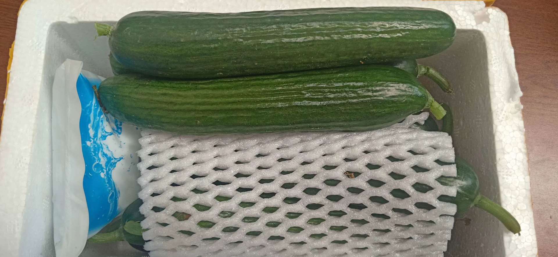 云南水果小黄瓜 脆嫩小黄瓜生吃农家孕妇蔬菜应季现摘包邮