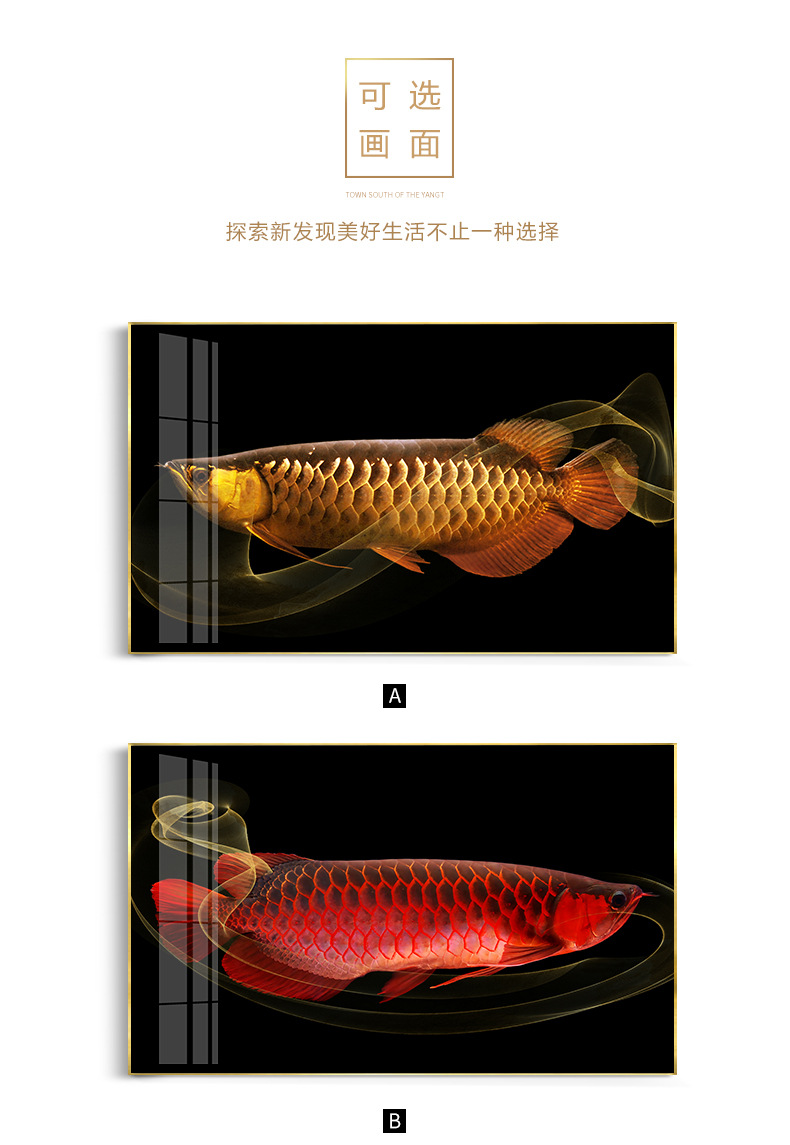 轻奢金龙鱼装饰画风水招财餐厅壁画金色玄关壁画现代简约客厅挂画