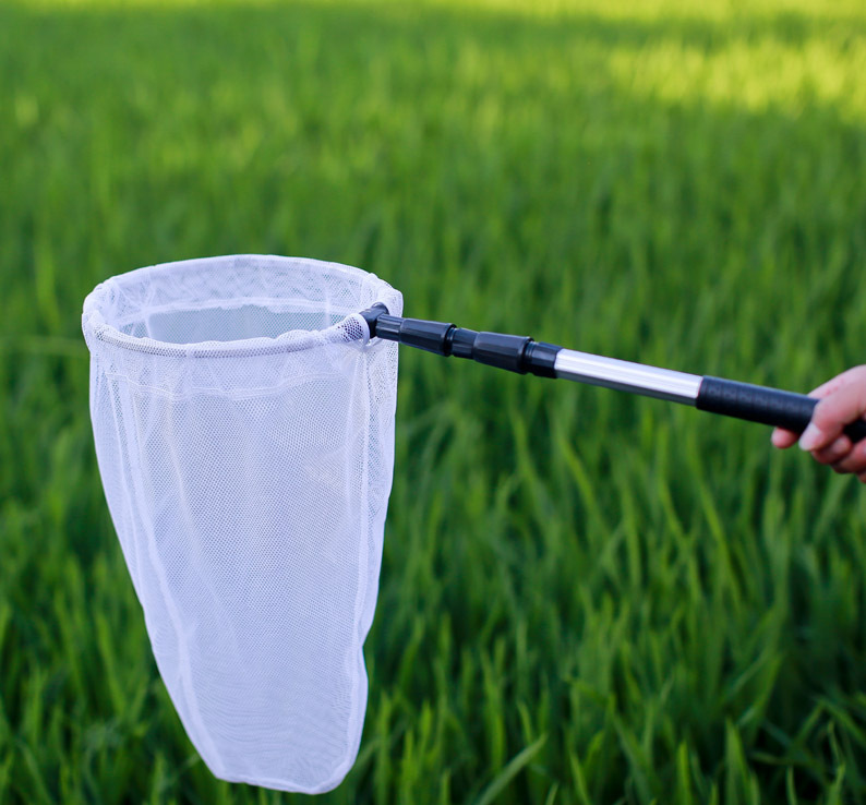 铝合金超短捕虫网 蝴蝶蜻蜓昆虫网兜伸缩捞鱼网小鱼兜蝌蚪两用