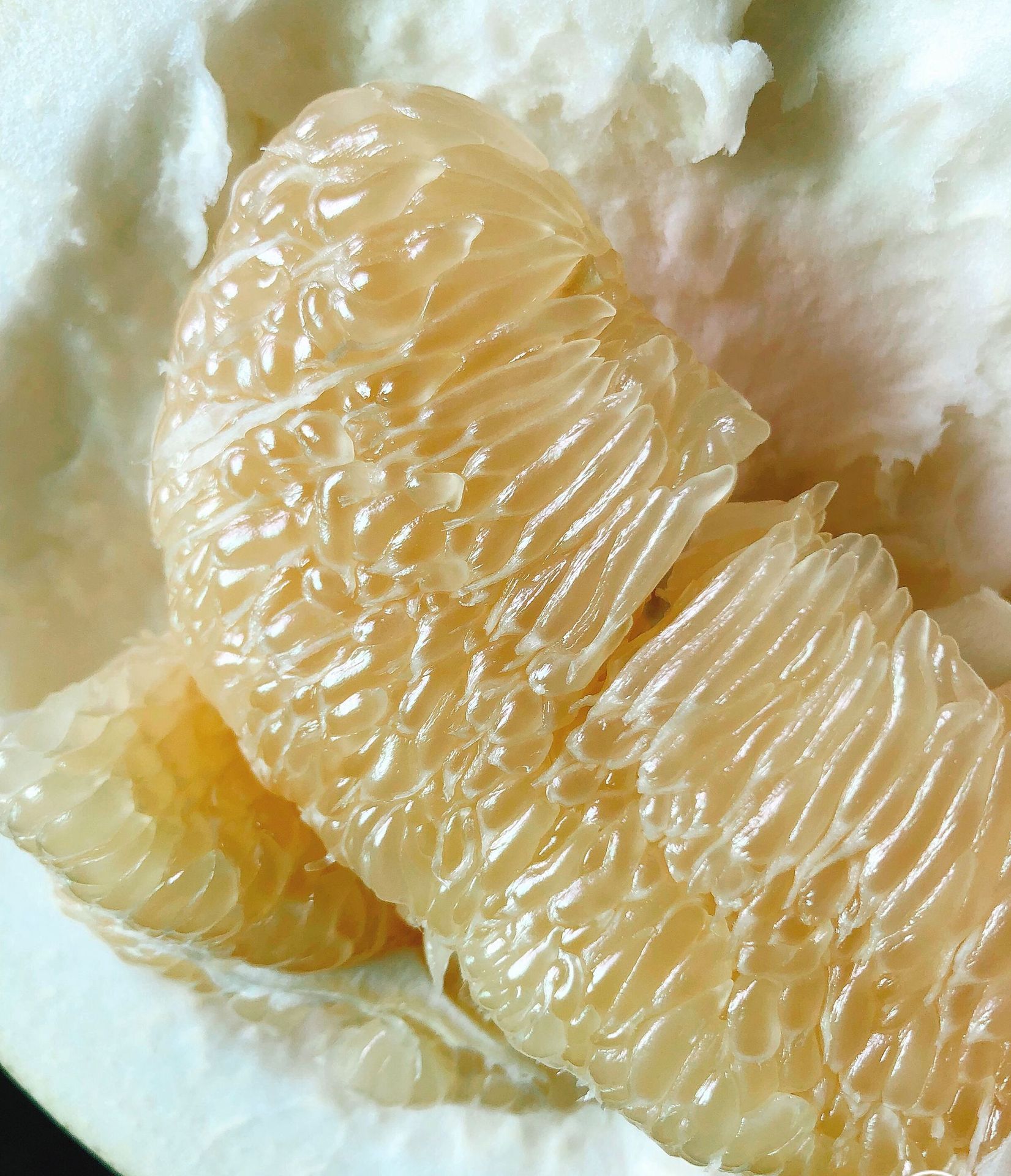 包邮】平和琯溪蜜柚白心柚子6粒装一箱水果礼盒柚子一件代发