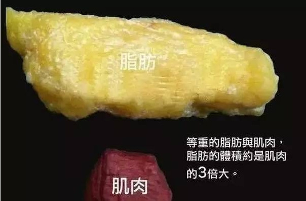 吃脂肪=长脂肪,这是一个减肥人士常犯的错误.