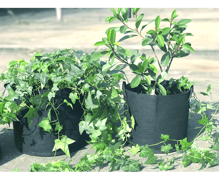 跨境无纺布种植袋黑色加厚美植袋植树袋加仑盘grow bag育苗植物袋