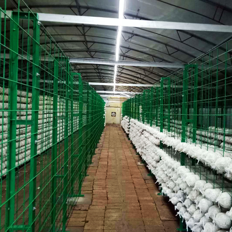 食用菌养殖网格架杏鲍菇网架出菇网架多规格食用菌养殖浸塑网片