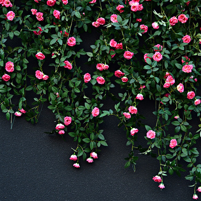 仿真玫瑰花藤蔷薇假花藤条装饰空调管遮挡缠绕塑料花藤蔓植物水管