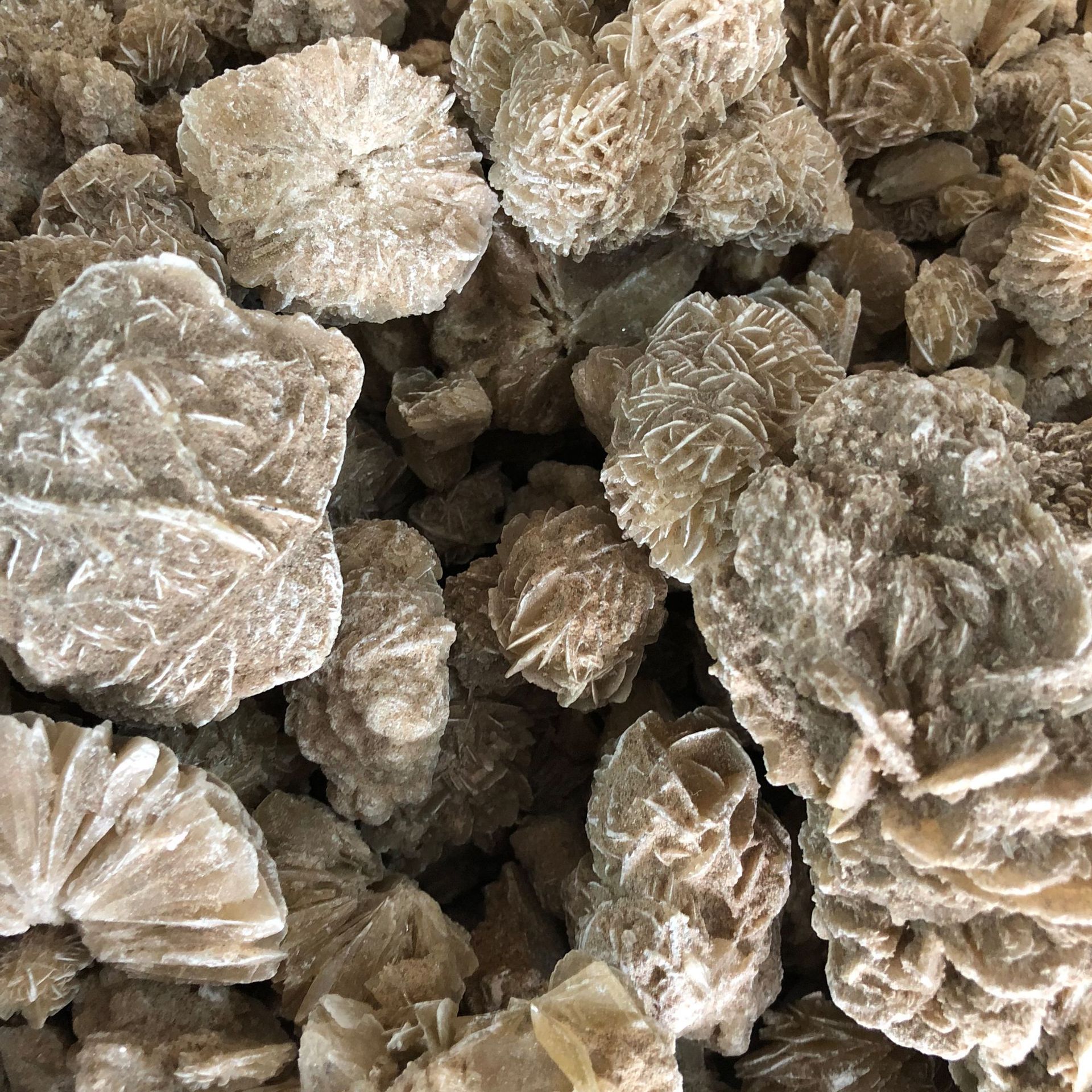 精品天然墨西哥沙漠玫瑰石 矿物晶体 奇石头原石 收藏品 观赏石