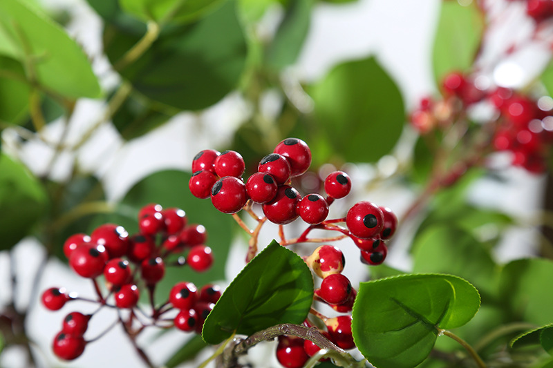 幸福果仿真植物发财果浆果仿真花商场店面装饰相思豆假花盆栽摆件
