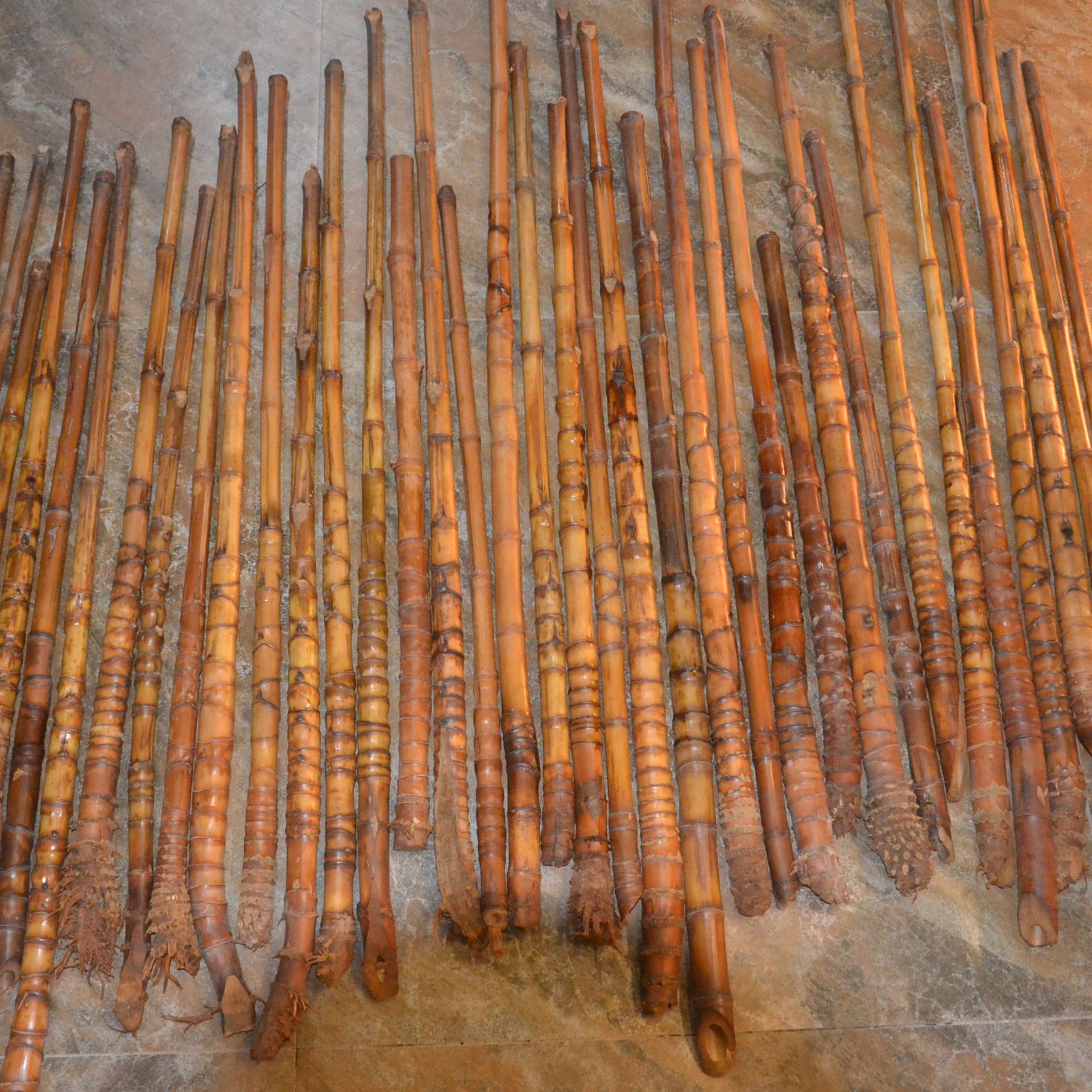 特价100根罗汉竹钓鱼竿手把竹手杖原材料龟甲竹罗汉竹扇骨碳化竹