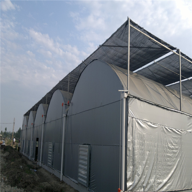 厂家生产 连栋薄膜温室 拱形塑料薄膜大棚 连栋蔬菜薄膜温室大棚