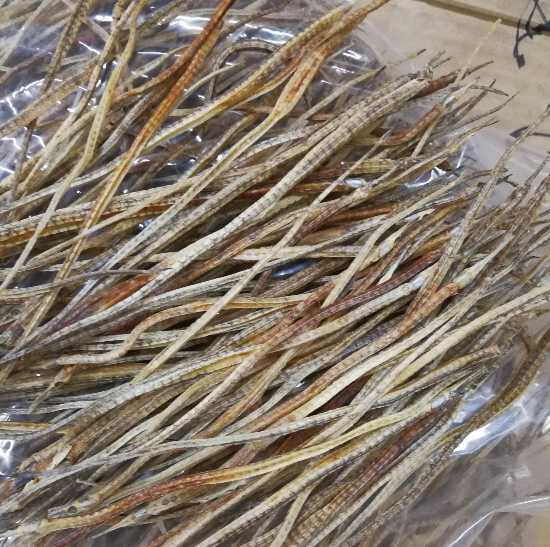 批发 海龙 干货 中药材泡酒原材料