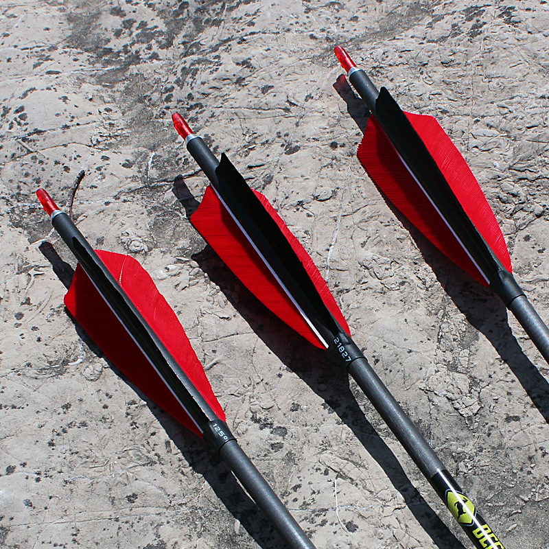 跨境热销鹿牌纯碳真羽碳素箭防打钉尾美猎箭支火鸡真羽碳箭