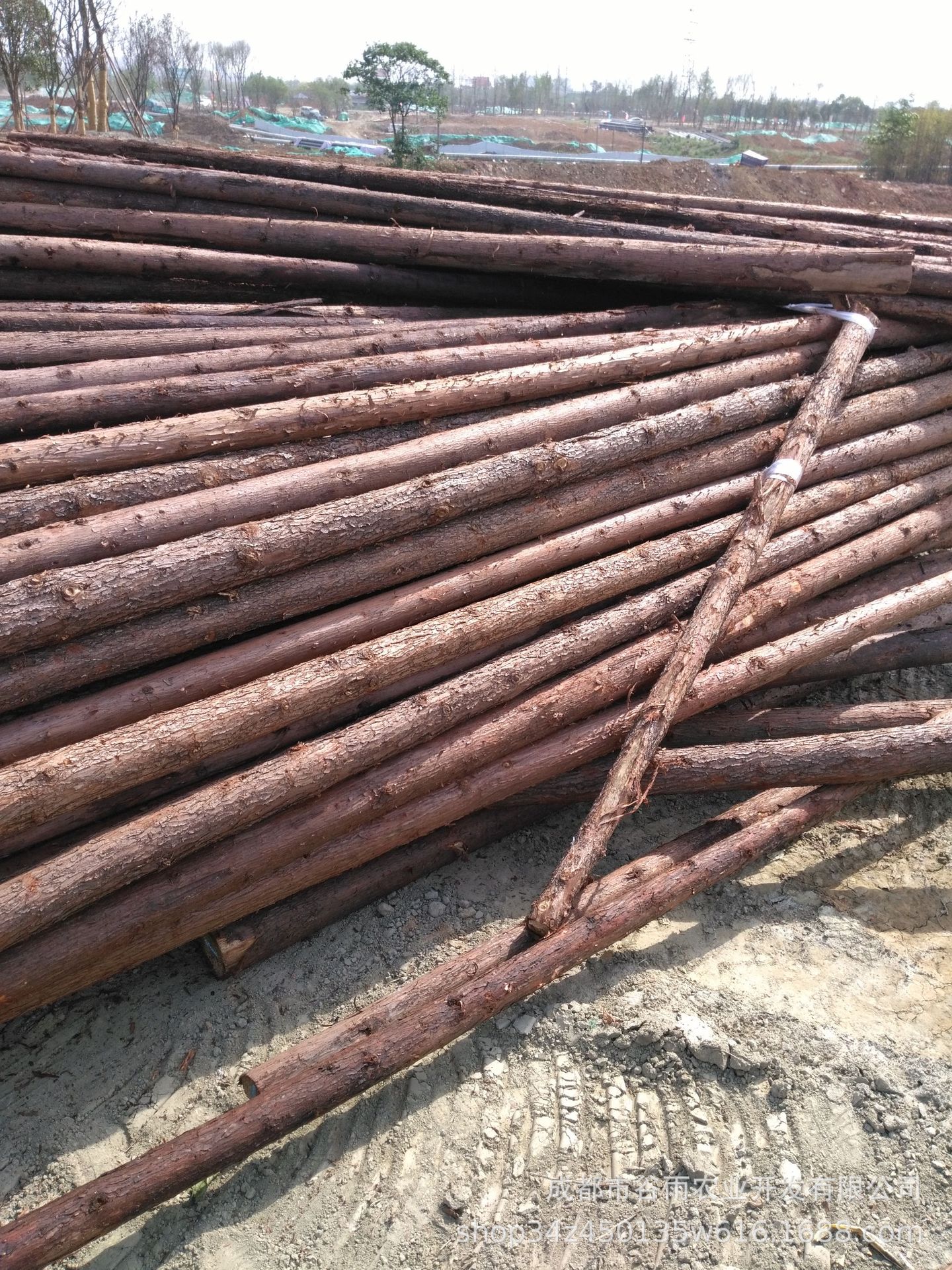 山场直供各种尺寸规格 园林绿化 杉木杆 绿化支撑杆 规格可定制