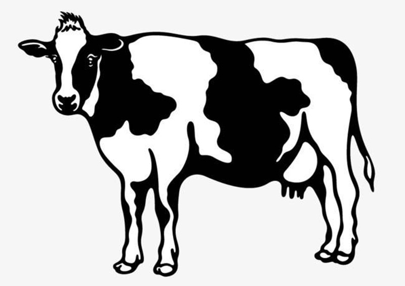 牛奶杯陶瓷杯 奶牛造型陶瓷马克杯牛奶早餐杯可定制logo奶牛杯