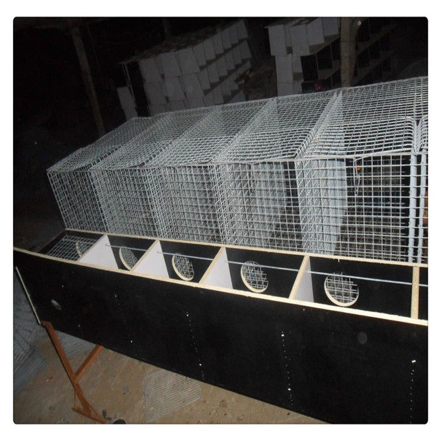 供应304新式貂笼宜州宠物养殖专用规格笼子百正新式貂笼厂家