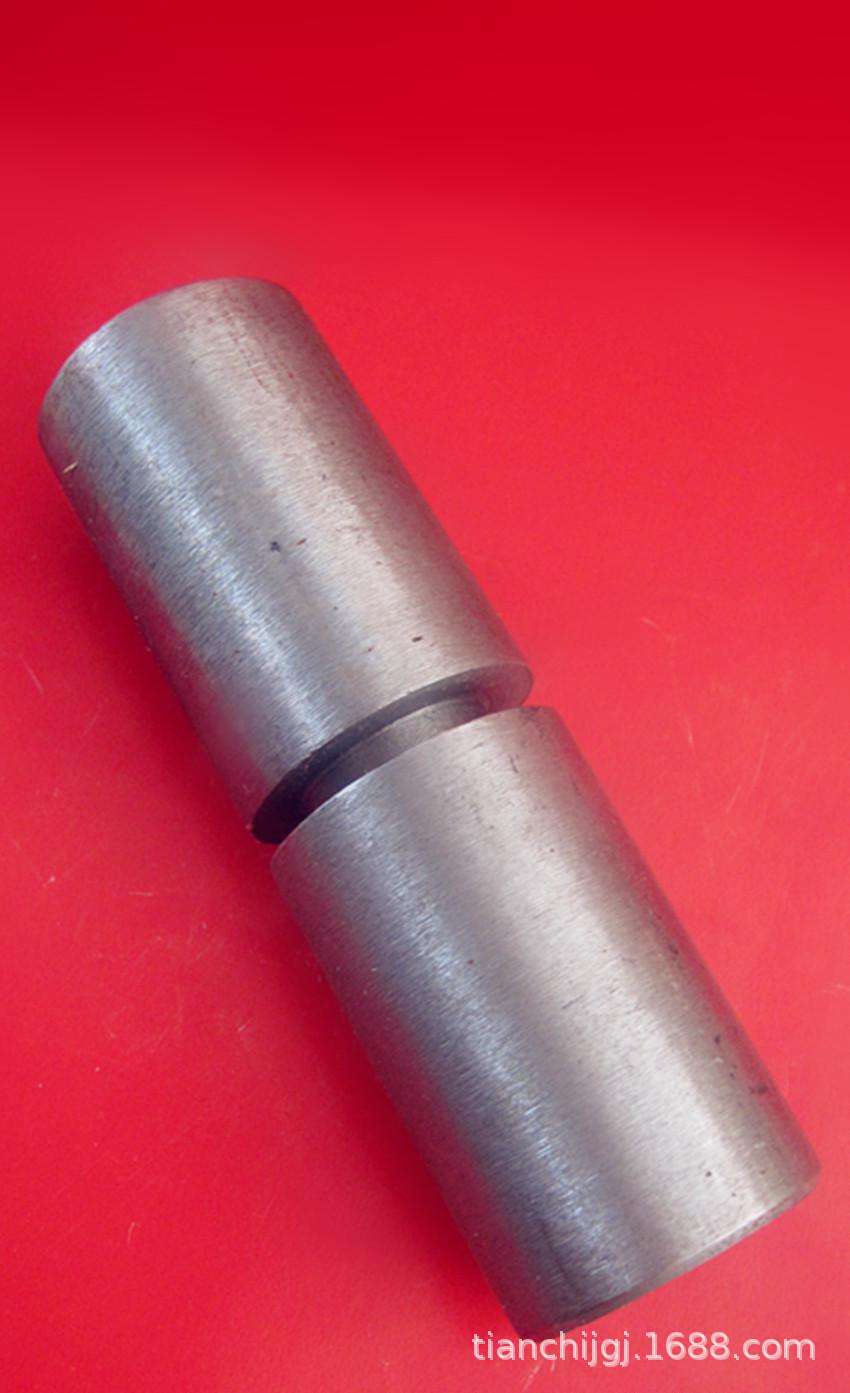 生产大铁门门轴 铁门配件圆柱合页 活动门轴不锈钢门轴