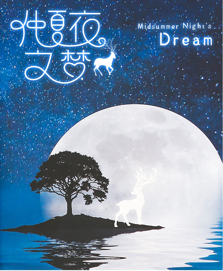 仲夏夜之梦夜光精装礼盒圣诞节礼物笔记本麋鹿星空彩页日记本套装