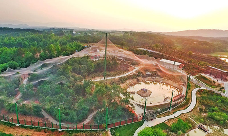 鹫珠鸡珍珠鸡环颈雉贵妇鸡绿白孔雀雕鸮不锈钢百鸟园天幕笼舍网