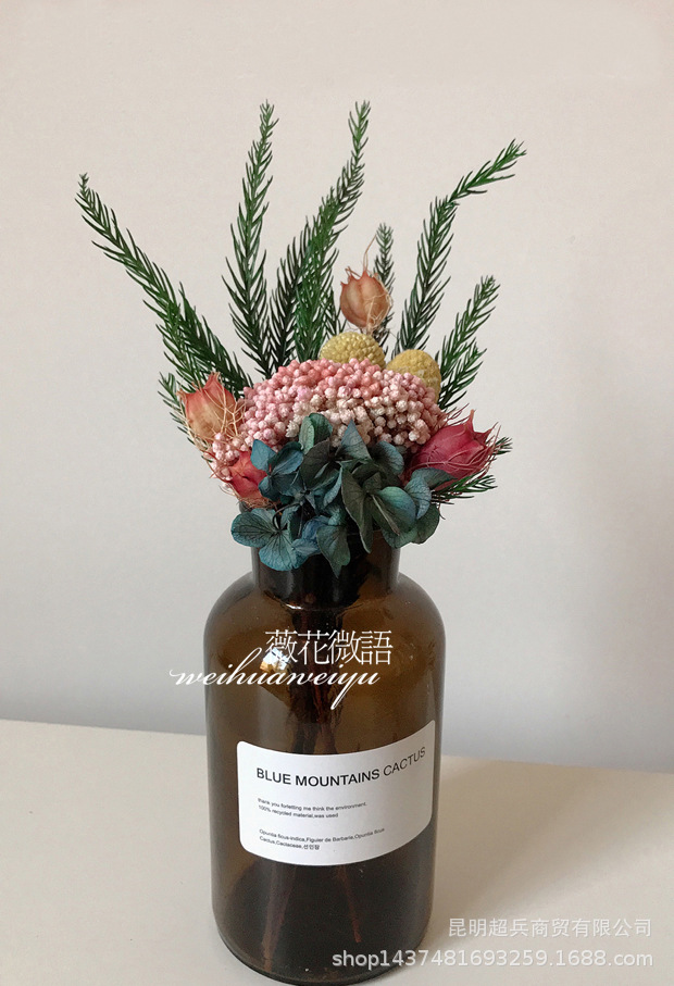 永生叶材 保鲜叶材天竺少女松 圣诞松树