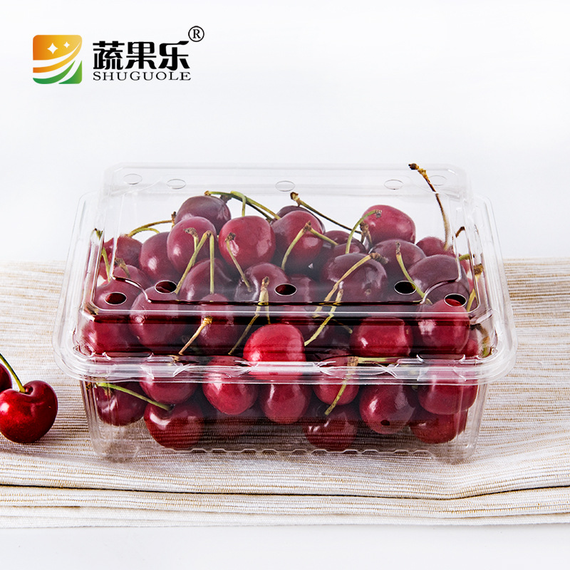 乐鲜500m一次性pet透明水果盒长方形车厘子包装塑料盒一斤装