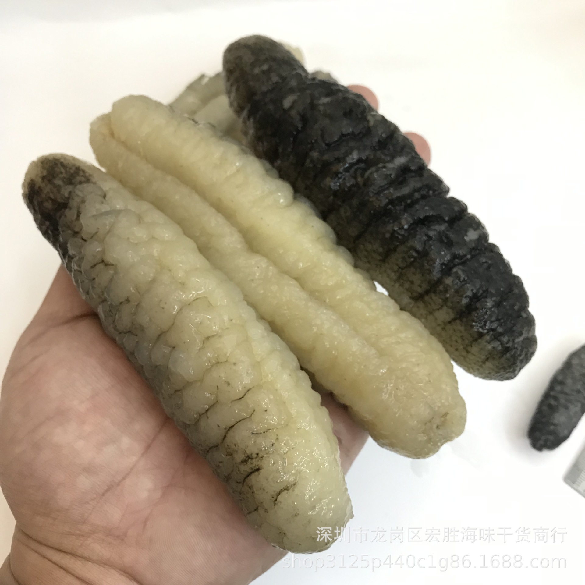 明秃参深海白秃参 淡干海参干货泡发率8倍