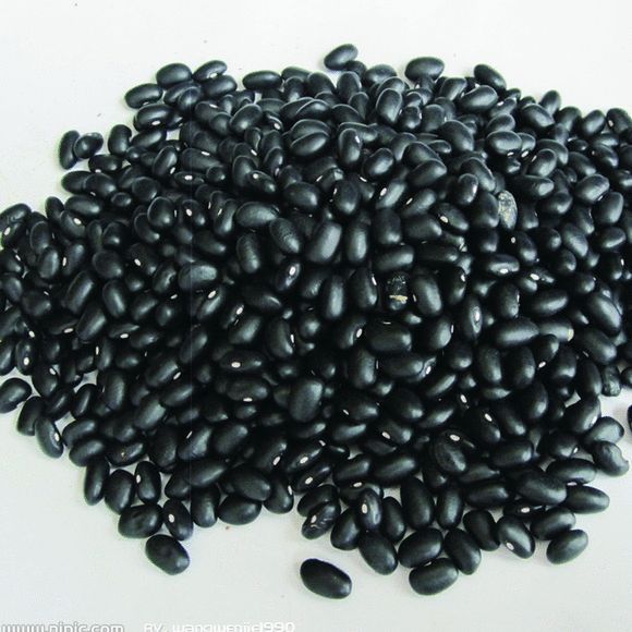 批发冷背奇中药材新鲜刀豆黑刀豆中药材黑刀豆大刀豆关刀豆马刀豆