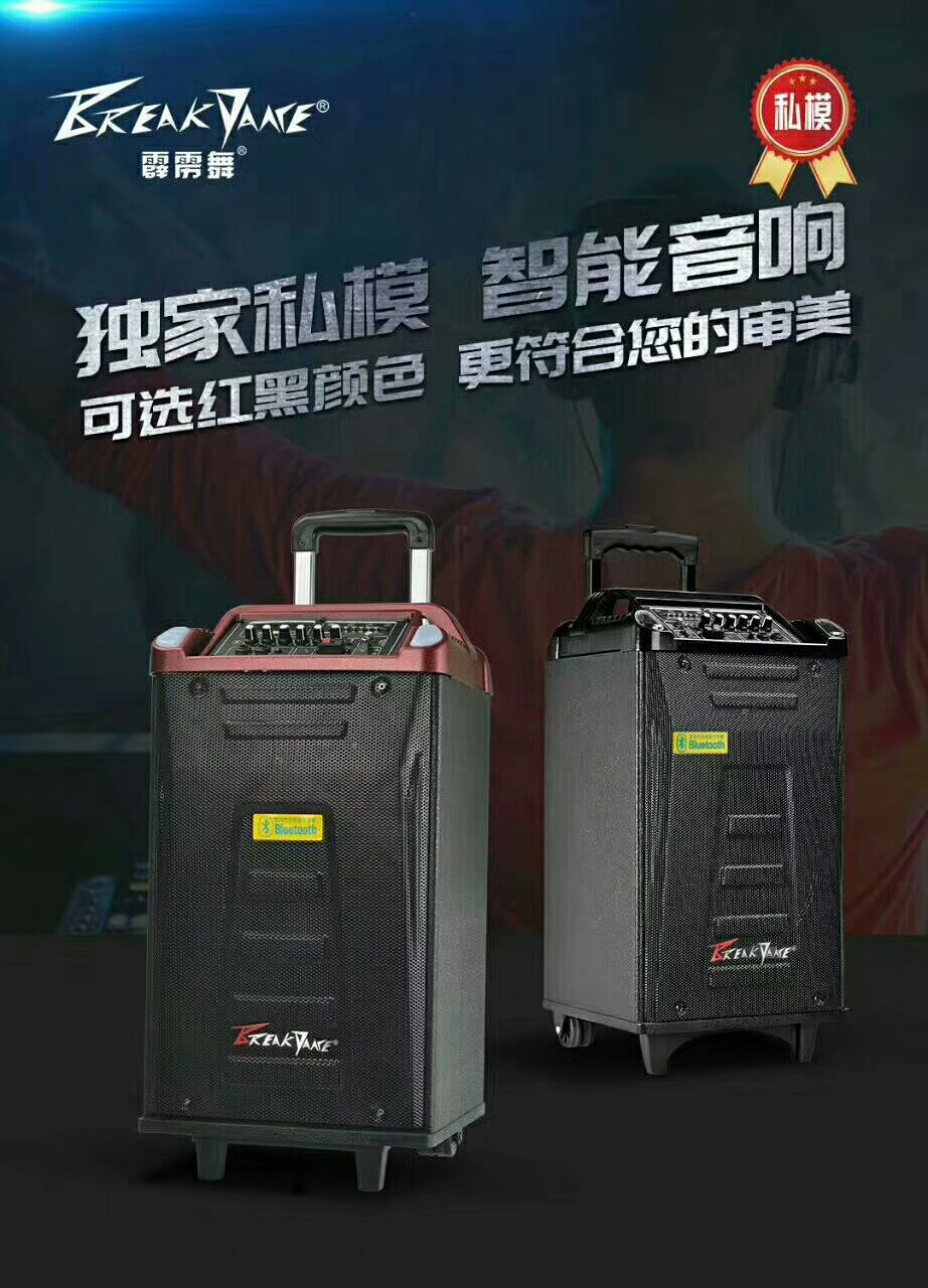 霹雳专业舞户外音响h系列广场舞蓝牙拉杆音箱吹拉弹唱网红音响