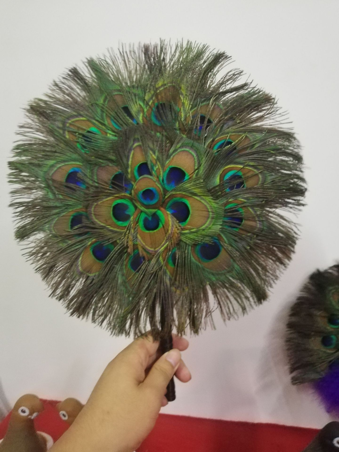 孔雀标本出售送底座全国包邮高亮度孔雀标本