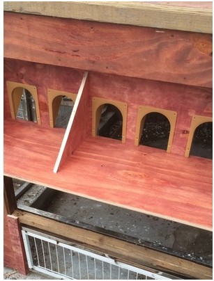 厂家直销信鸽赛鸽欧式进笼门 鸽子笼门 无障碍进笼口跳笼 鸽子门