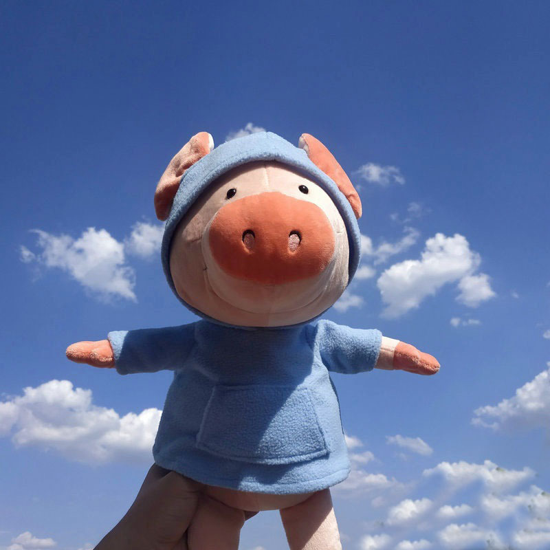 工厂穿衣戴帽毛绒玩具小猪可爱儿童玩偶网红小乳猪猪年吉祥物