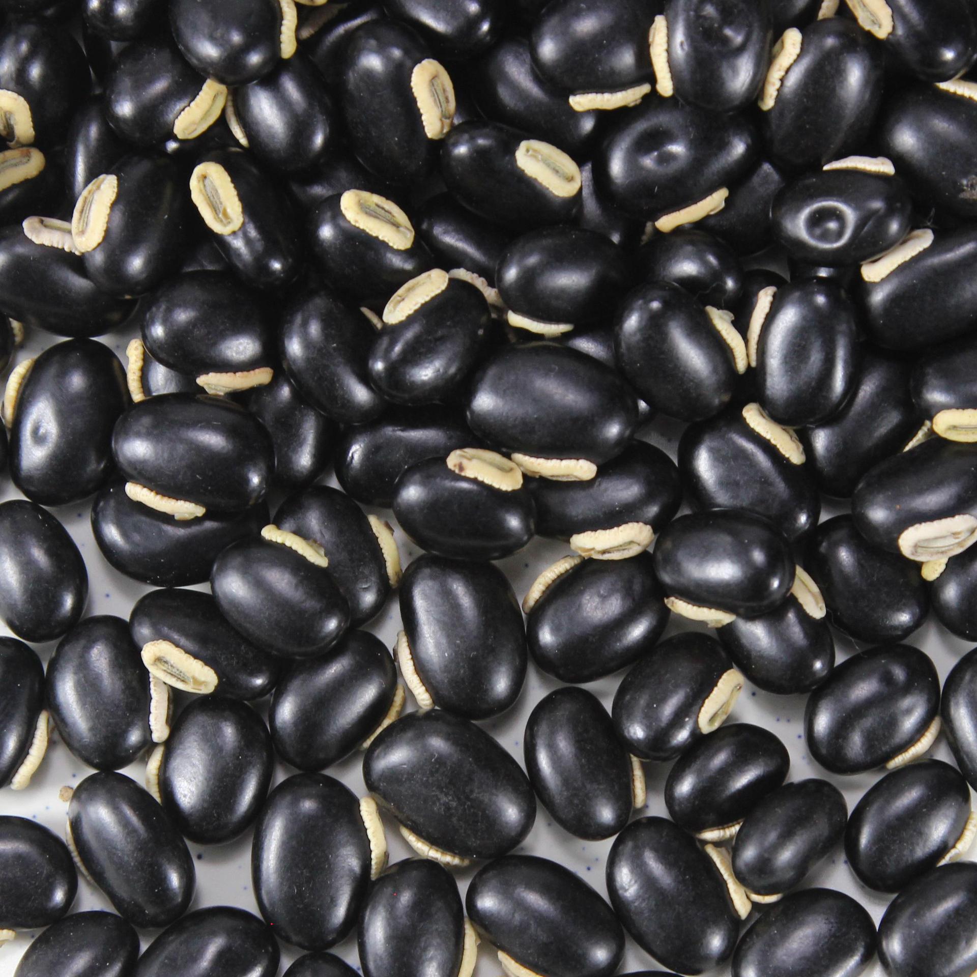 批发冷背奇中药材新鲜刀豆黑刀豆中药材黑刀豆大刀豆关刀豆马刀豆