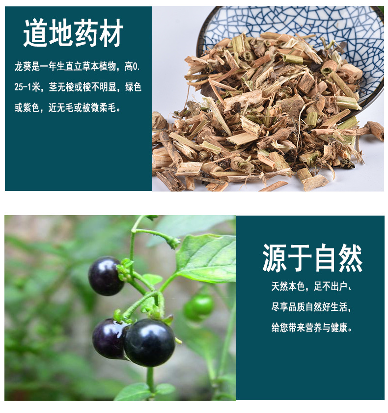 龙葵草图片和功效图片