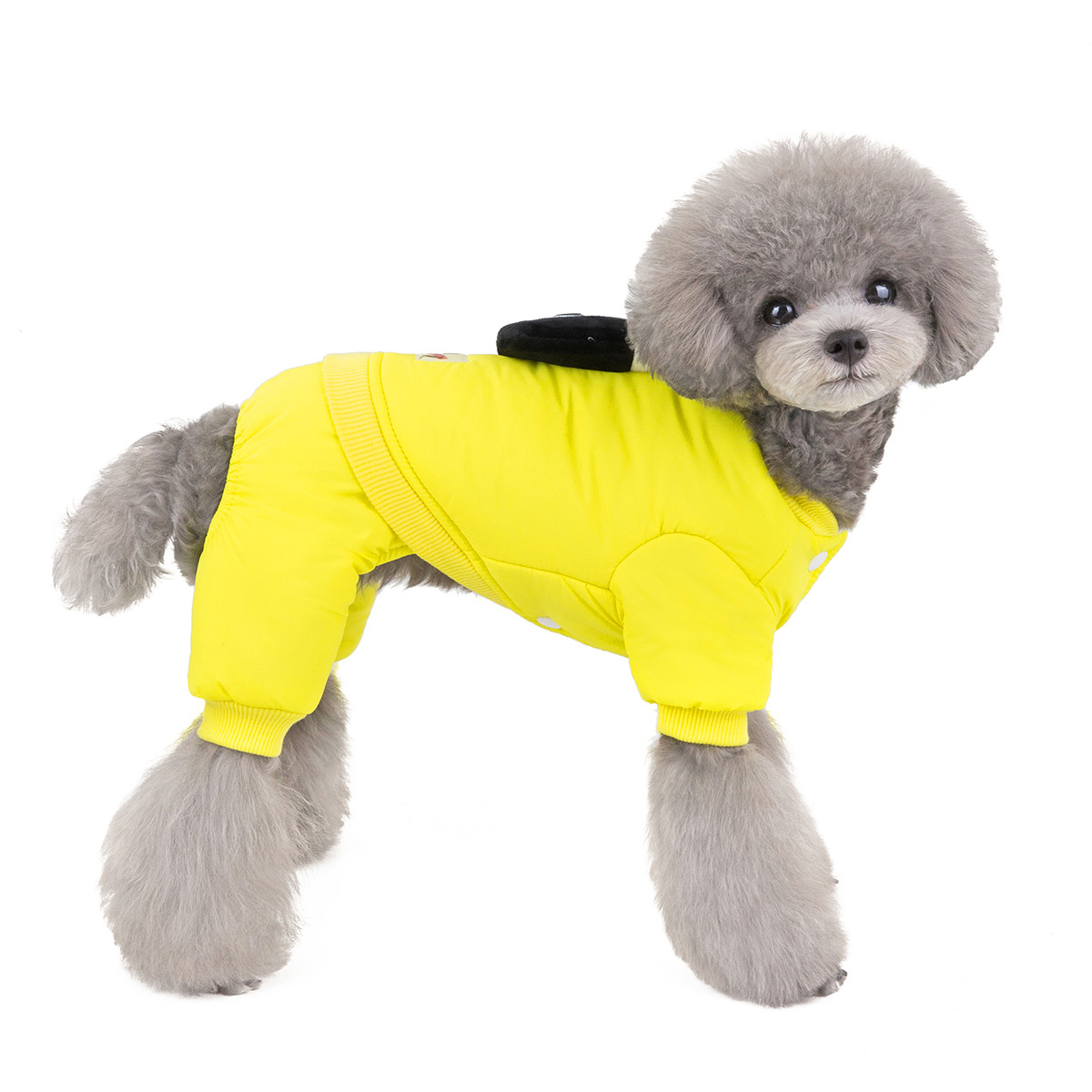 宠物狗狗四脚衣服服装秋冬新款2019泰迪比熊一件代发19小马棉衣c1