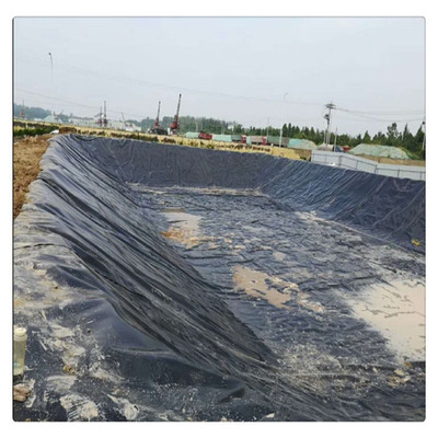 可裁零鱼塘泥鳅虾池防渗hdpe土工膜盐池膜水库堤坝斜坡保护防水膜