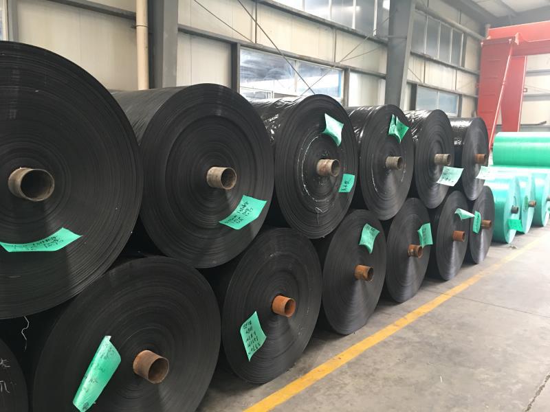 pe 编织布/编织袋 吨袋 除草布 覆膜防水 抗老化 新料 厂家直销