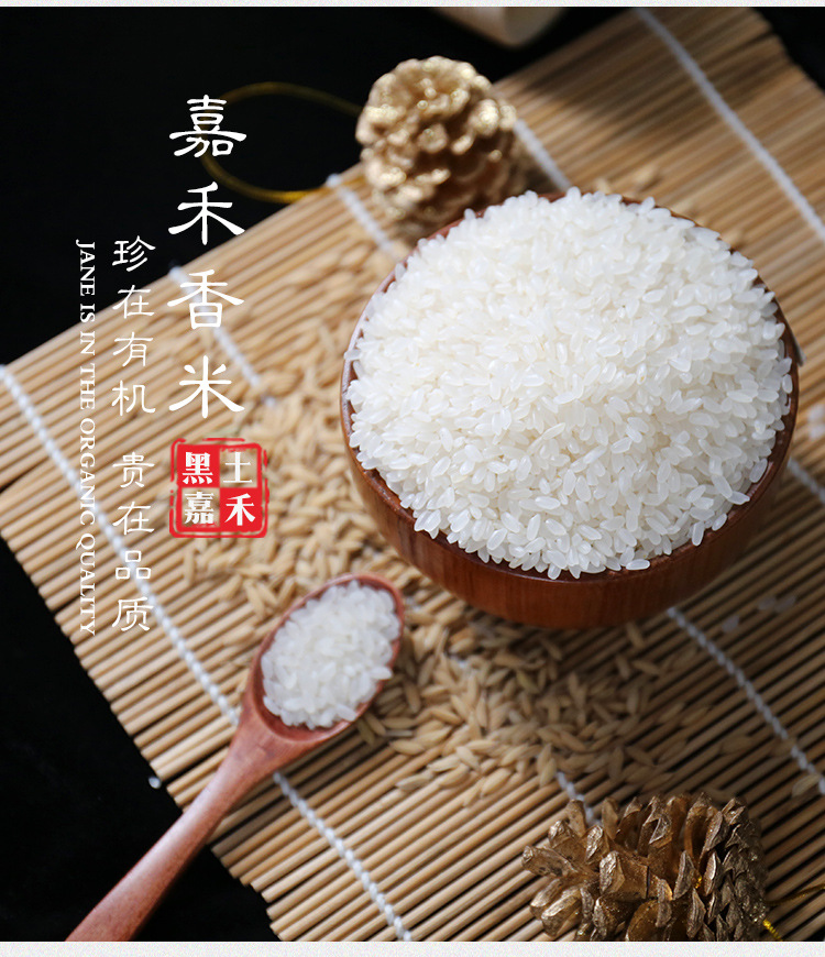 5kg真空黑土嘉禾稻香米粳米大米厂家 伴手礼