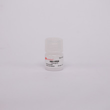 K1030-5ml硫酸卡那霉素溶液(100mg/ml)    索莱宝   硫酸卡那霉素