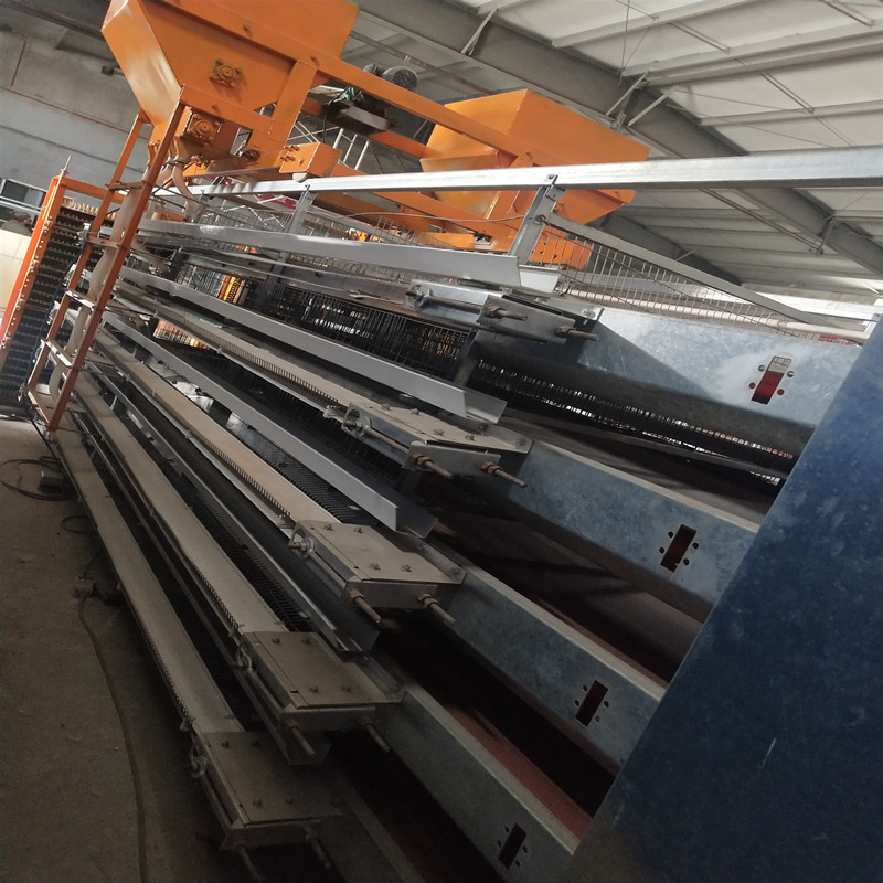 大规模定制养鸡 鹌鹑笼养设备 自动化鹌鹑笼 肉鸡蛋笼子 厂家直销