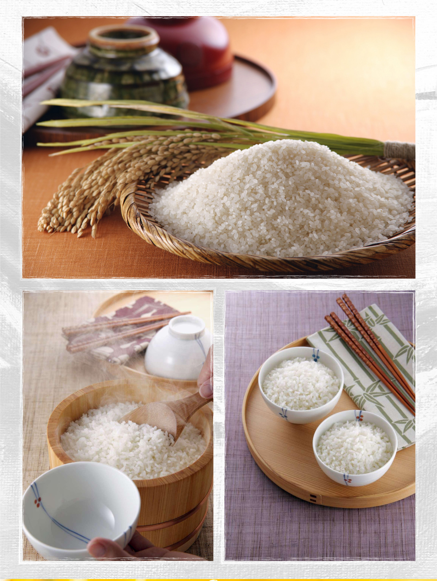 老娘舅香稻米江苏大米25kg袋装大米加工厂家直供现货批发一件代发