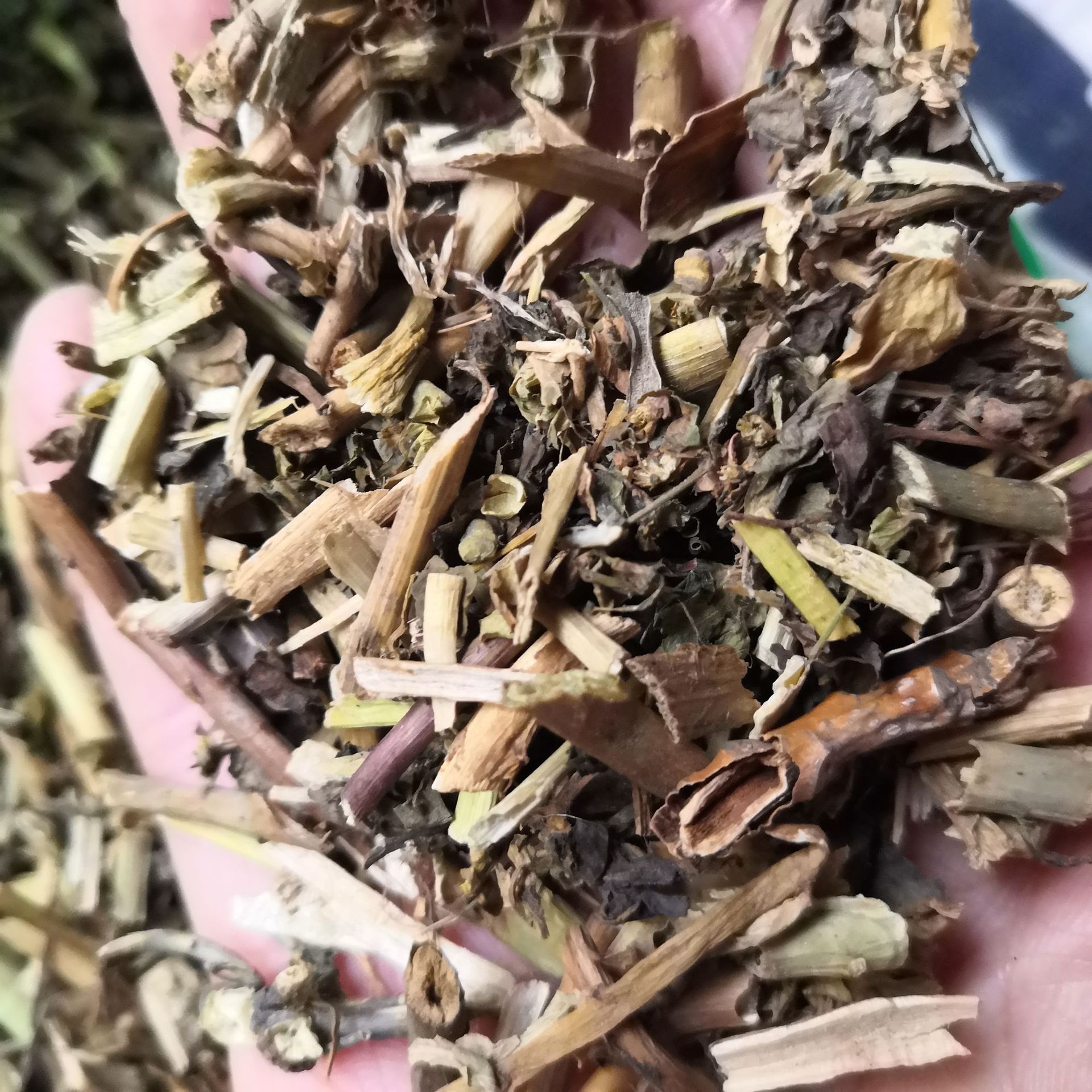 泽漆批发中药材泽漆猫眼儿草五朵云正品无硫实物拍摄