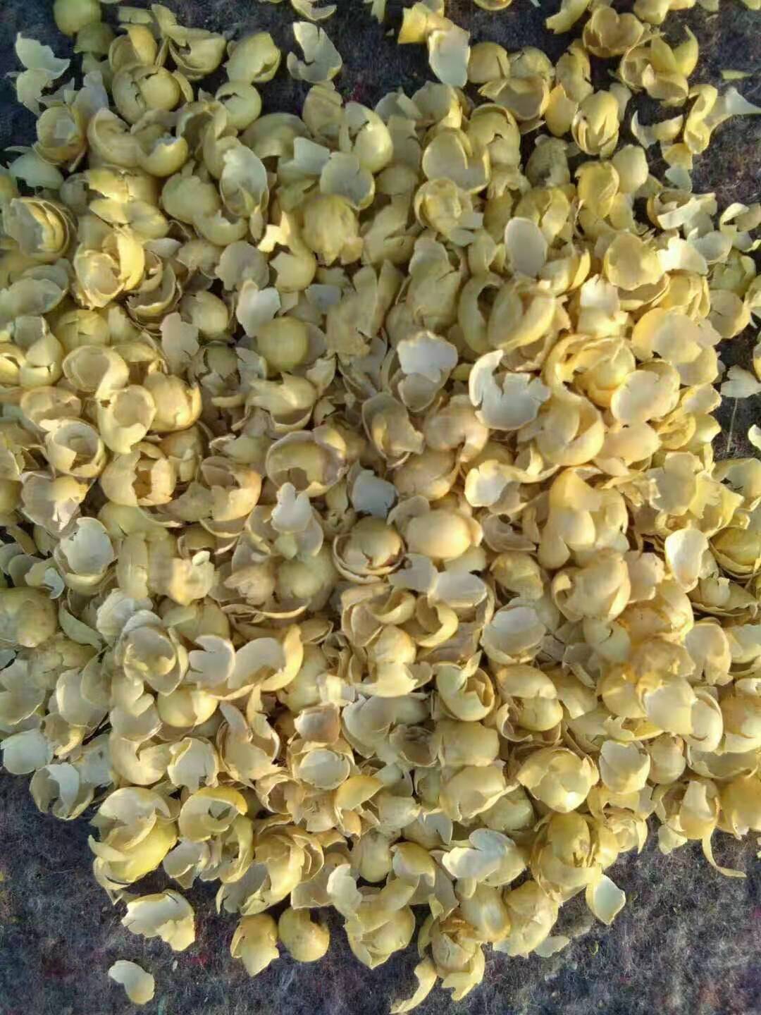 大豆皮 大量批发大豆皮饲料级营养豆皮 现货大豆皮饲料级批发价格