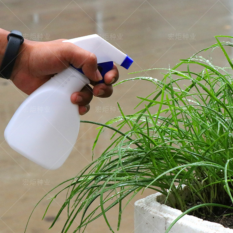 喷壶浇花家用园艺工具多肉喷雾洒水壶喷水壶手压式喷壶清洁专用