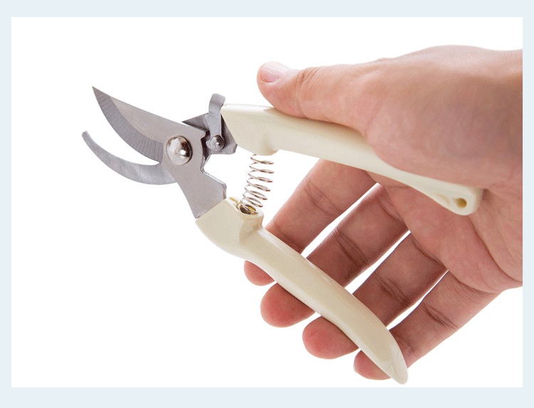 不锈钢树枝修枝剪摘水果花木剪园林果树花枝剪刀花园修理园艺工具