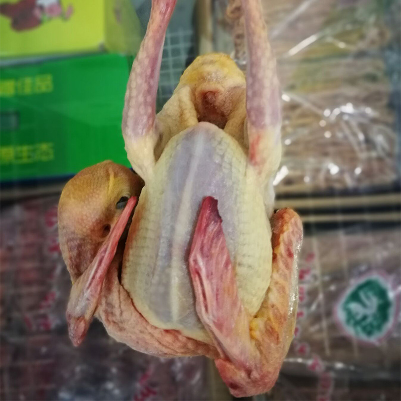 工厂直发乳鸽  冷链直发鲜冻乳鸽  冰鲜乳鸽   乳鸽价格